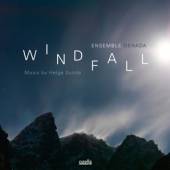 ENSEMBLE DENADA  - CD WINDFALL