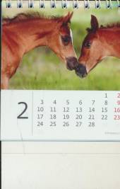  Mini Horses - stolní kalendář 2014 [CZE] - supershop.sk