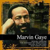 GAYE MARVIN  - CD COLLECTIONS