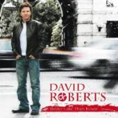 ROBERTS DAVID  - CD BETTER LATE THAN NEVER