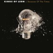 KINGS OF LEON  - 2xVINYL BECAUSE OF T..