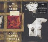  AS THE FLOWER WITHERS '03 - supershop.sk