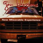 GIN BLOSSOMS  - CD NEW MISERABLE EXPERIENCE