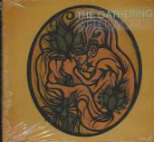 GATHERING  - CD AFTERWORDS
