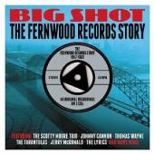 VARIOUS  - 2xCD FERNWOOD RECORDS STORY