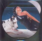 7-PD-POKER FACE [VINYL] - supershop.sk