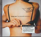  ANTHOLOGY - YOUN LUST: THE AEROSMITH ANTHOLOGY - supershop.sk