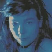 BJORK  - CD TELEGRAM -REMIX-