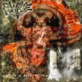RWAKE  - CD HELL IS A DOOR TO THE SUN