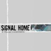 SIGNAL HOME  - CD A FRAGILE CONSTITUTIONAL