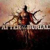 AFTER THE BURIAL  - CD RAREFORM