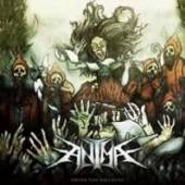 ANIMA  - CD DAILY GRIND