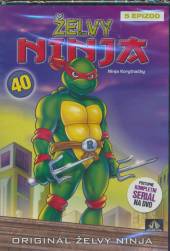  ŽELVY NINJA 40 (Teenage Mutant NINJA Turtles) DVD - supershop.sk