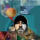 BADLY DRAWN BOY  - CD (D) IT'S WHAT I'M THIN