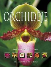  Orchideje - supershop.sk