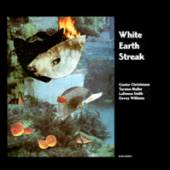 CHRISTMAN/MULLER/SMITH/WI  - CD WHITE EARTH STREAK