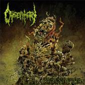 DYSENTERY  - CD FROM PAST SUFFERING COMES NEW