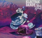  ELECTRIC DANDY - suprshop.cz