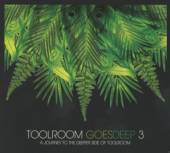 VARIOUS  - 2xCD TOOLROOM GOES DEEP 3