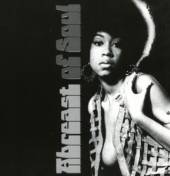 VARIOUS  - CD A BREAST OF SOUL