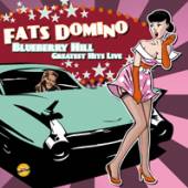 DOMINO FATS  - CD BLUEBERRY HILL