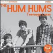 HUM HUMS  - CD TEENAGE LOSER