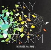 HORSES ON FIRE  - CD ANY KIND OF STORM