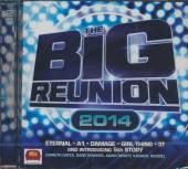 VARIOUS  - CD BIG REUNION 2014