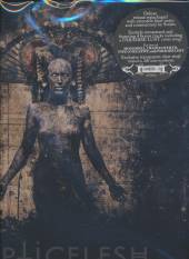  A FALLEN TEMPLE -LTD- [VINYL] - supershop.sk