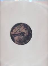  A FALLEN TEMPLE -LTD- [VINYL] - supershop.sk
