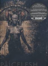  A FALLEN TEMPLE -LTD- [VINYL] - supershop.sk