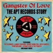 VARIOUS  - 2xCD APT RECORDS STORY '58-'62