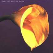  THE BURNING WORLD [VINYL] - supershop.sk