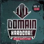 VARIOUS  - 2xCD DOMAIN HARDCORE 5