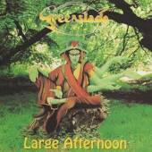 GREENSLADE  - CD LARGE AFTERNOON