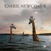 NEWCOMER CARRIE  - CD PERMEABLE LIFE