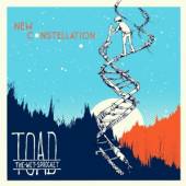 TOAD THE WET SPROCKET  - CD NEW CONSTELLATION