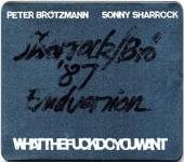 BROTZMANN/SHARROCK  - CD WHATTHEFUCKDOYOUWANT