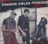 PINNICK GALES PRIDGEN  - CDG PGP 2