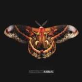  ANIMAL - supershop.sk