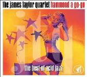 TAYLOR JAMES -QUARTET-  - 2xCD BEST OF ACID JAZZ