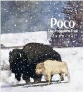 POCO  - 2xCD FORGOTTEN TRAIL 1960-1974