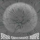  EARLY SHAPES [VINYL] - suprshop.cz