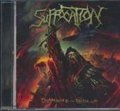 SUFFOCATION  - CD PINNACLE OF BEDLAM