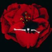  ADORE (REMASTERED) - supershop.sk