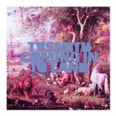  COMING IN TO LAND [VINYL] - supershop.sk
