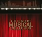 VARIOUS  - CD THE PERFECT MUSICAL COLLECTION