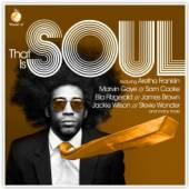 VARIOUS  - 2xCD THAT IS SOUL