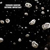 DAWSON RICHARD  - CD NOTHING IMPORTANT