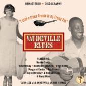  VAUDEVILLE BLUES 1919-41 - supershop.sk